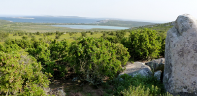 West Coast Nationalpark.png