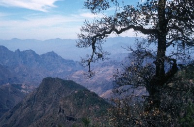 Landschaft in Durango 2 (800x525).jpg