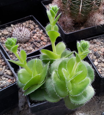 20120110_121919.jpg