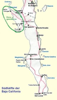 0-Baja-Karte-F_grandiflorus.jpg