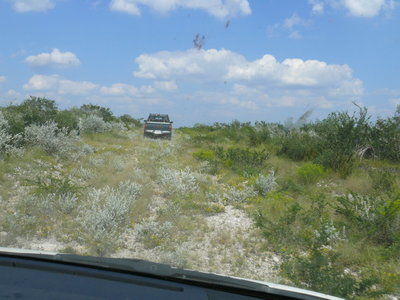120 P1000305 in Texas.JPG