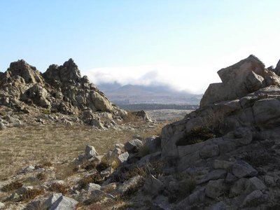 Habitat Eriosyce crispa v. huascensis - Huasco im Hintergrund mit Nebel (Camanchaca)