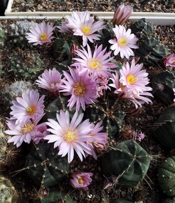 20120421_100241.jpg