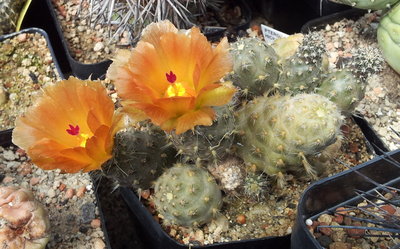 20120504_140409.jpg