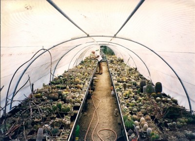 sc009d1e6a.jpeg (138.29 KiB) 21812 mal betrachtet Binibona, Mallorca