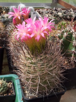 20130512_114059.jpg