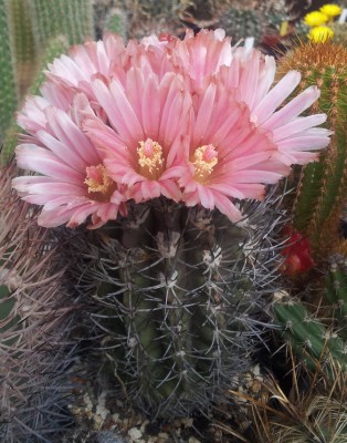 20130614_120757.jpg