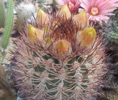 20130614_120804.jpg