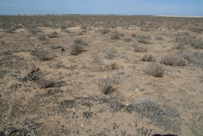 bei den Sarafan-Dünen_IMG_1391.jpg