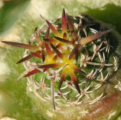 IMG_0976.jpeg (85.73 KiB) 20566 mal betrachtet ???