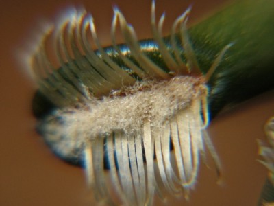 IMG_2466.jpeg (70.44 KiB) 18774 mal betrachtet ???