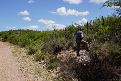 Wegböschung 2 km nach Ongamiraabzweig Richtung Ischilin, Cordoba 1195m