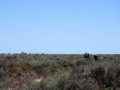 DSCN1238.JPG (73.77 KiB) 10635 mal betrachtet Totoralejos - nichts zu finden