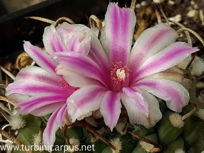 20160402_135145.jpg