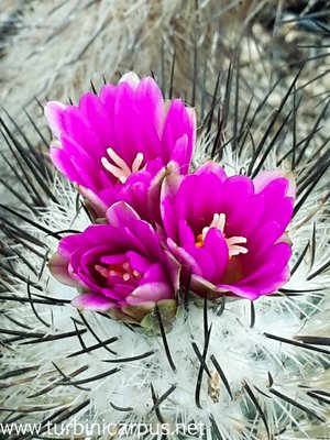 20160408_131605.jpg