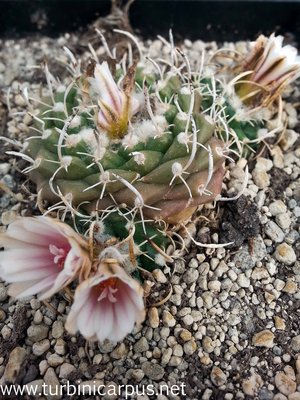 20140407_105927.jpg