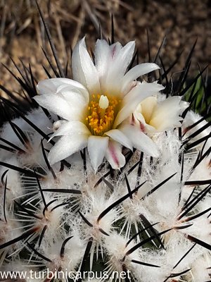 20150929_150541.jpg