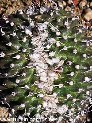 20150731_135815.jpg