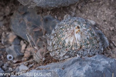 DSC_7638.jpg