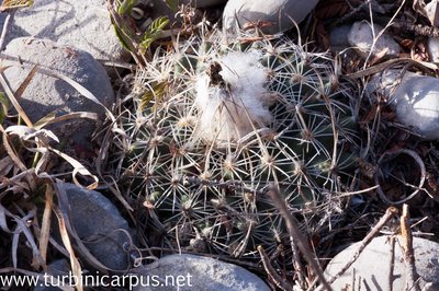 DSC_7662.jpg
