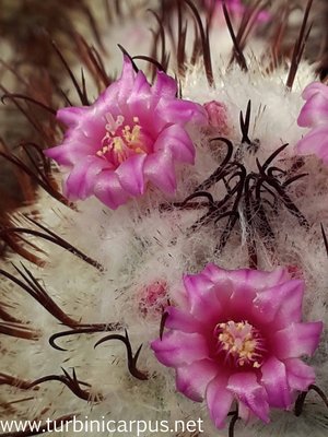 20160421_130154.jpg