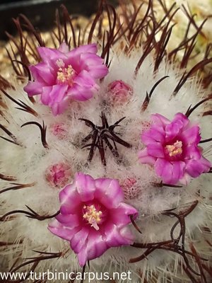 20160421_130204.jpg