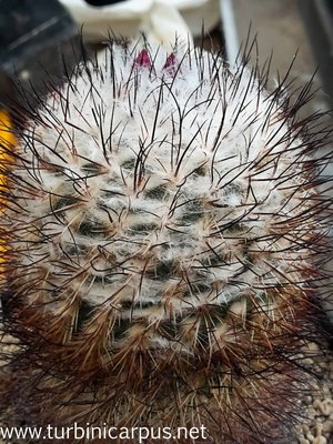 20160415_084619.jpg