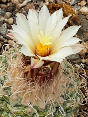 20160422_144859.jpg