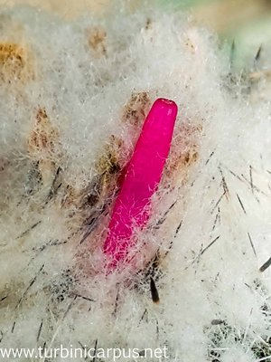 20160422_153405.jpg