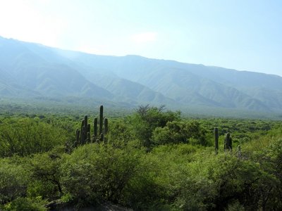 nördliche Sierra Ancasti, Catamarca