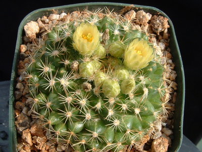 DSCF0009.JPG