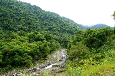 Yungas - Rio Los Sosa, Tucumán