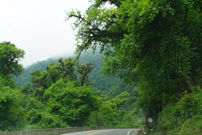 Yungas - Rio Los Sosa, Tucumán