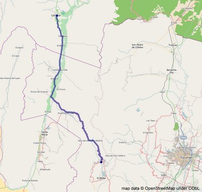 Route Tag 7