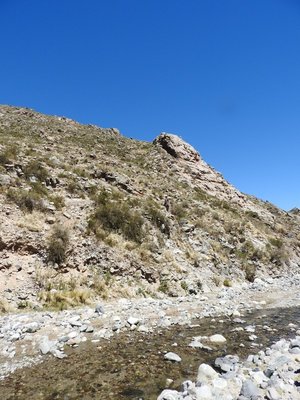 Standort Parodia microsperma lembckei RB3137 - RP307, nördl. Abra El Infiernillo, Tucuman 2925m