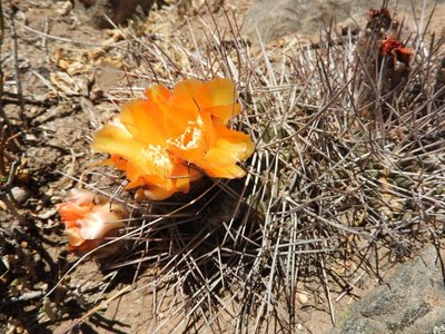 DSCN1586.JPG