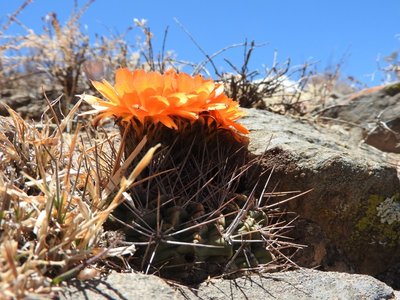 DSCN1608.JPG