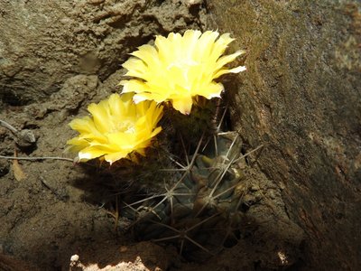 DSCN1610.JPG