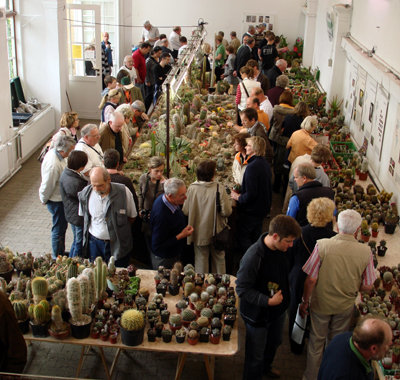 Unsere Ausstellung in Münster