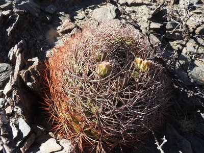 DSCN1687.JPG