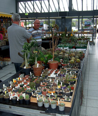 DSCF5412a.JPG