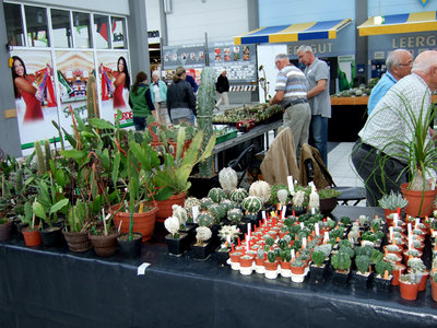DSCF5414a.JPG
