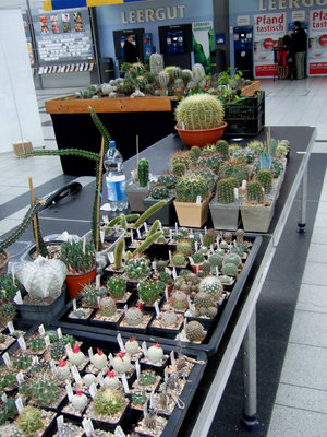 DSCF5416a.JPG