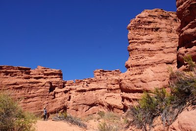 DSC03516.JPG