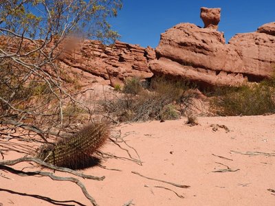 DSCN1719.JPG