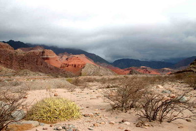 9373.jpg (55.93 KiB) 12957 mal betrachtet Quebrada de las Conchas