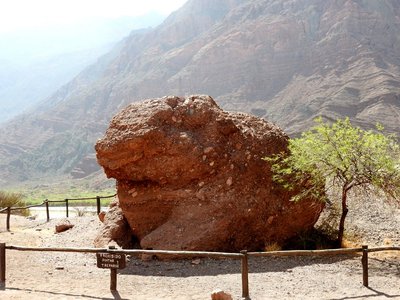 El Sapo (Kröte), Quebrada de las Conchas, Salta