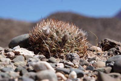 foto-003.JPG
