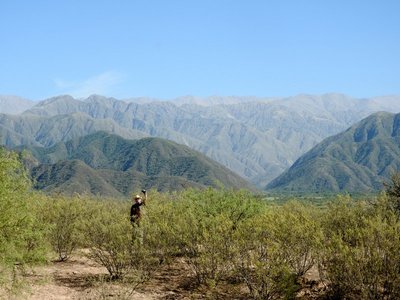 DSCN2022.JPG (123.97 KiB) 10746 mal betrachtet Londres, Sierra de Zapata, Catamarca