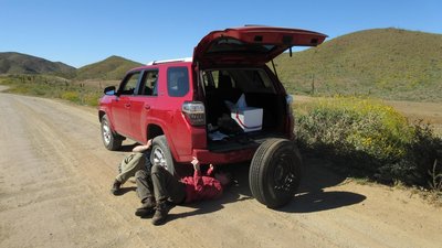 IMG_7017.jpg